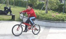 第一次学骑自行车_650字