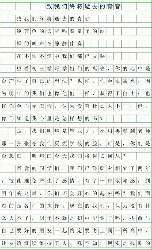 过去的青年_900字