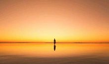 长大后很孤独_400字