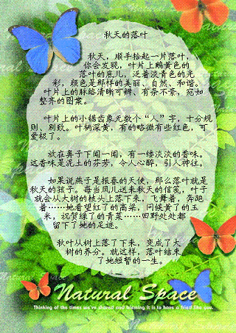 钓鱼风暴（三级大白鹅续）_500字