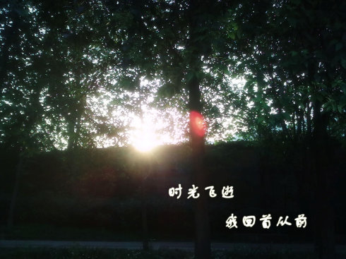 与“感觉”主题写作指导