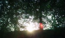 以“感悟光阴”为话题的写作指导