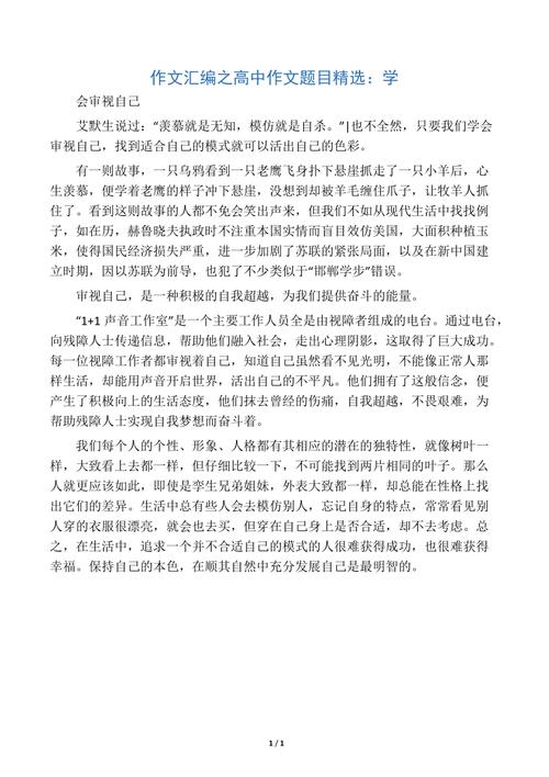 用“审查自我”写出指导