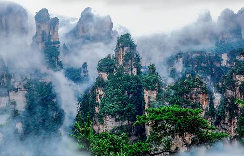 我经常想到旅游_400字