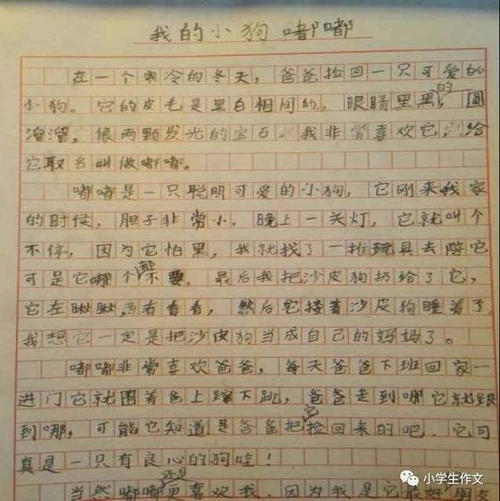 用“五颜六色的美丽”写作指导
