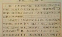 以“多彩的美”为话题的写作指导