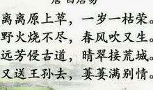 新《赋得古原草送别》_50字