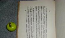 冷灼（《过客》续诗）_500字