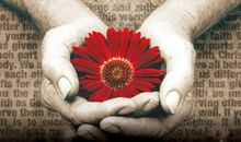 命题作文“生命的价值源于你自己”写作指导及例文