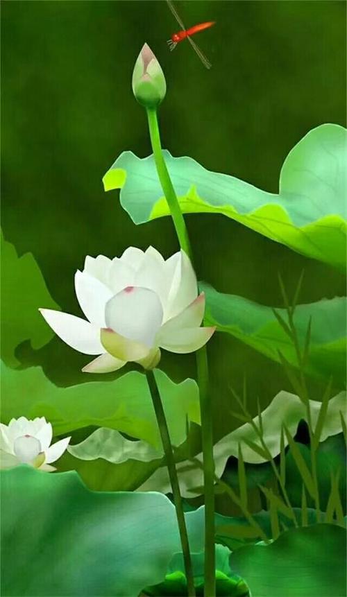 明亮_800字