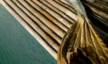 改写美人鱼_300字