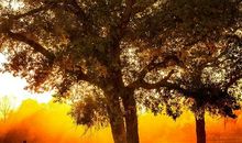 [秋天的童话]海_50字