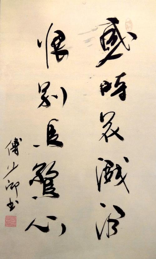 我觉得奇观，我讨厌鸟_800字