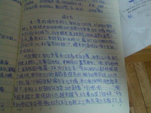 昆虫休息日_200字