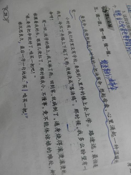[四月一篇文章]兔子的遗憾，珍惜所有的爱_900字