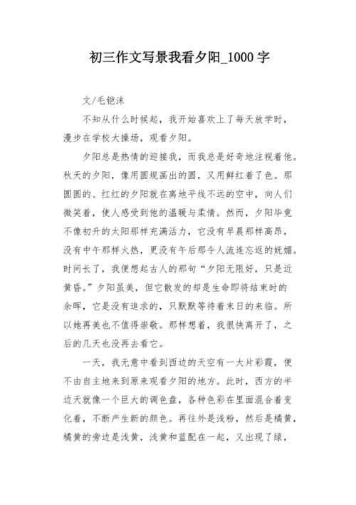 高三写视图：当日落即将到来_700字