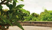 捡拾夏天的碎片_750字