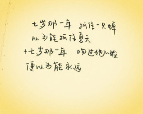 今年夏天，遇到了这本书_600字