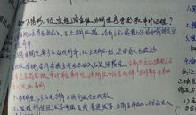 也谈“个性”_1200字