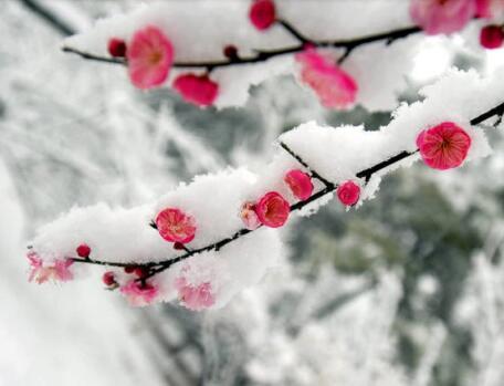 写文字：凌汉黑暗香只有_900字