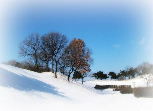 我喜欢雪_350字
