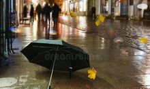 雨夜里的那把伞_1200字