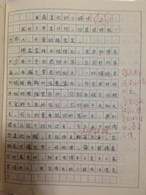 我的收藏_600字