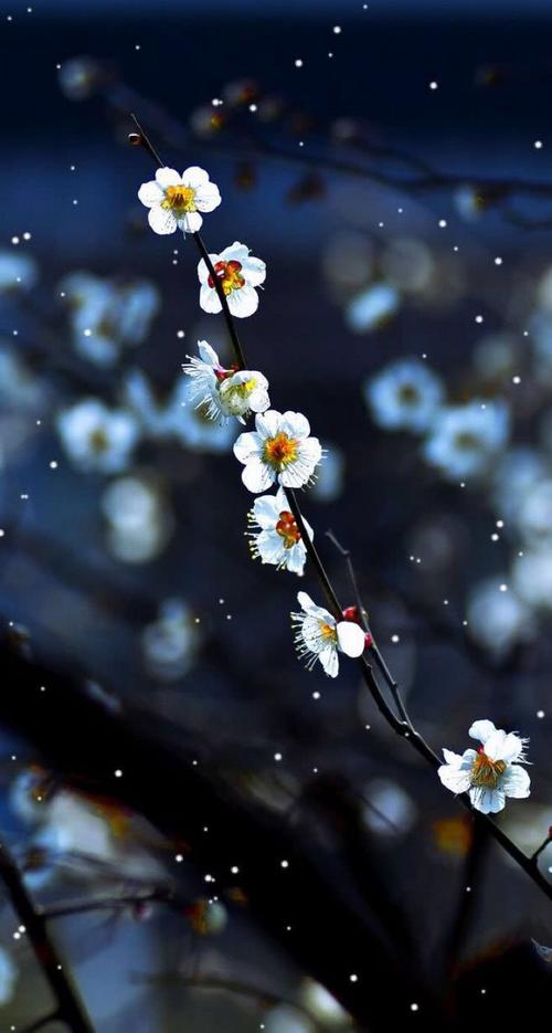 黑暗香气 - 雪_ _350字