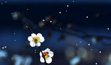 暗香－－雪_ _350字