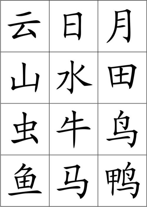 我喜欢刷子_600字