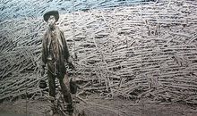 为国争光的华侨和海外华人