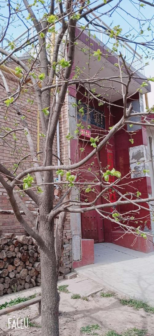[3月征文]时间都去哪了---童年最绿的叶子_1500字