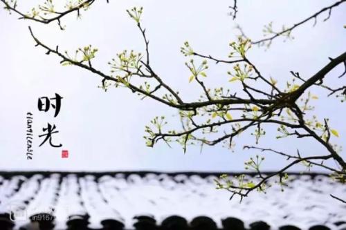 [四月一篇文章]珍惜当前的几年！ _1200字
