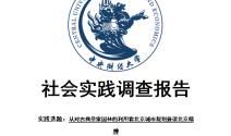 2015经济专业大学生暑期社会实践实习报告范文