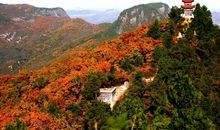 高三写景作文：秋天的香山_650字