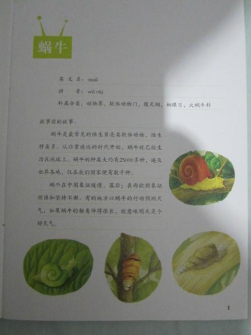 我找到了蜗牛的秘密_900字