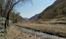 [PK赛]关于春天的作文：春之梦_350字