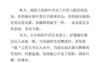 五年级状物作文：荷花_450字