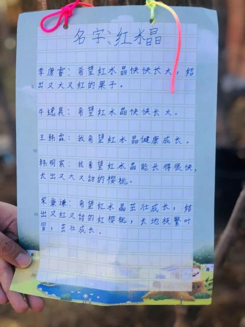[May Fassay]爱在分支_1000字