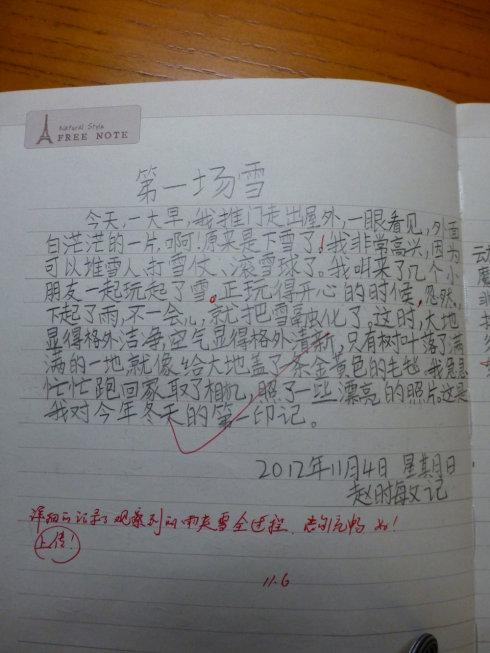 写一位母亲的日记_250字