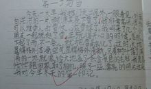 写过妈妈的日记_250字