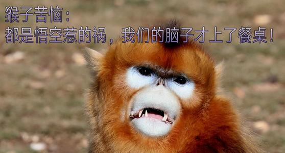 Mysteria的麻烦_650字