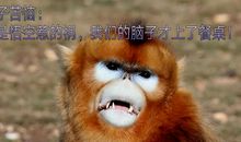 母猴子的烦恼_650字