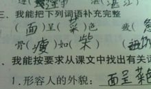 形容人品质好的成语大全