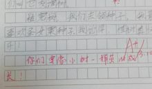第三周周记_550字