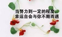 可喜可悲的一天_350字