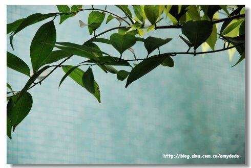 [四月一篇文章]长年_900字