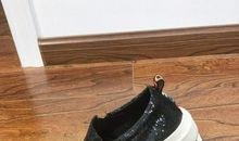 我的新鞋与旧鞋_650字