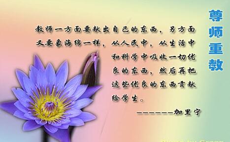 幸福的报价：关于愉快的名人Quotes_750字