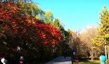 [秋天的童话]助人是金_700字